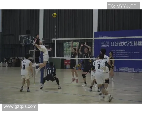 深圳排球队展现卓越团队协作能力荣获全国排球团队协作排名第一